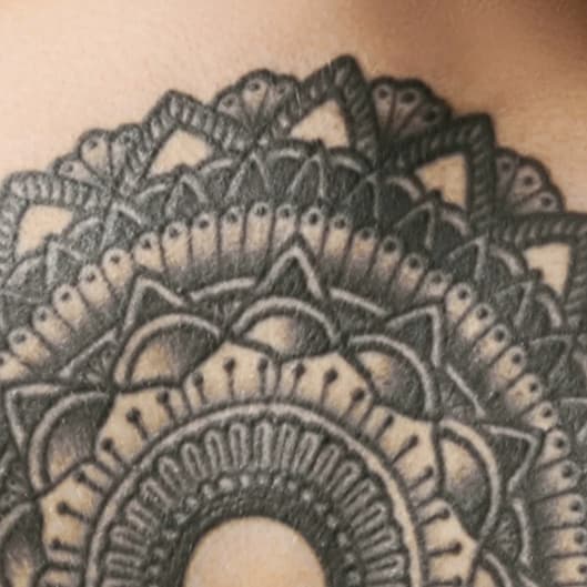 Bi-Weekly Coaching Membership